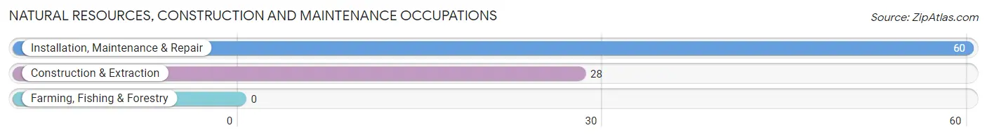 Natural Resources, Construction and Maintenance Occupations in Zip Code 60184