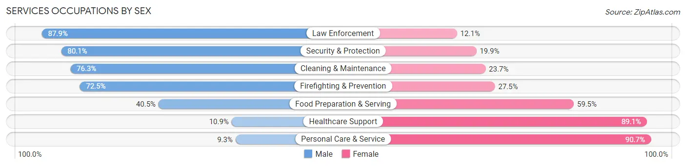 Services Occupations by Sex in Zip Code 60185