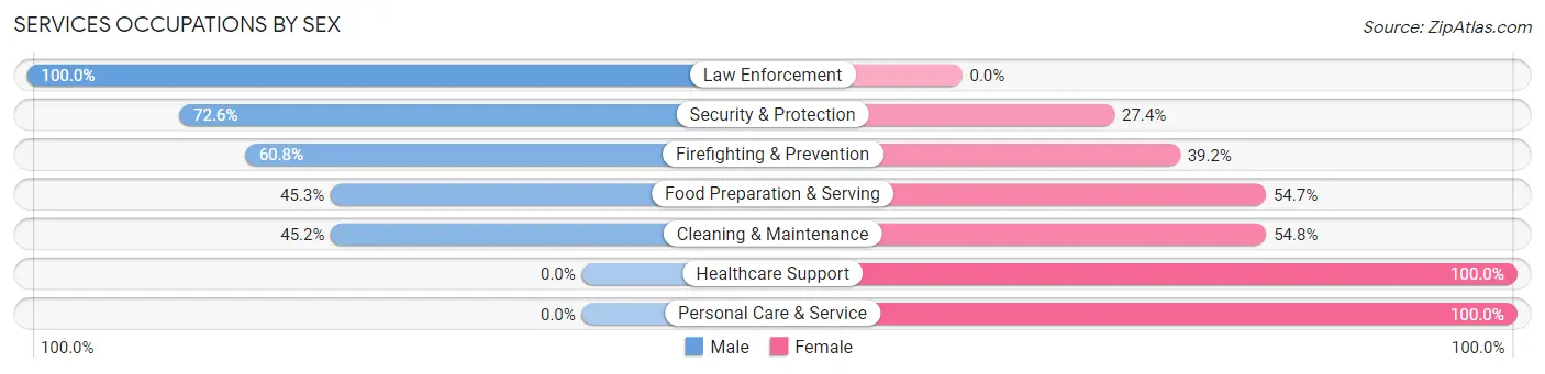 Services Occupations by Sex in Zip Code 60191