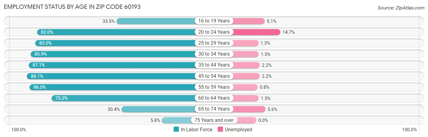 Employment Status by Age in Zip Code 60193