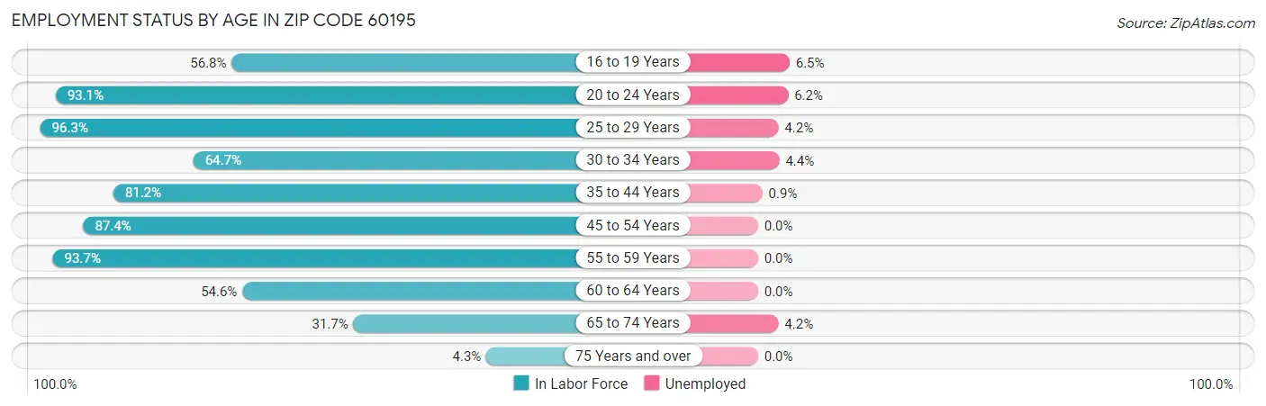 Employment Status by Age in Zip Code 60195