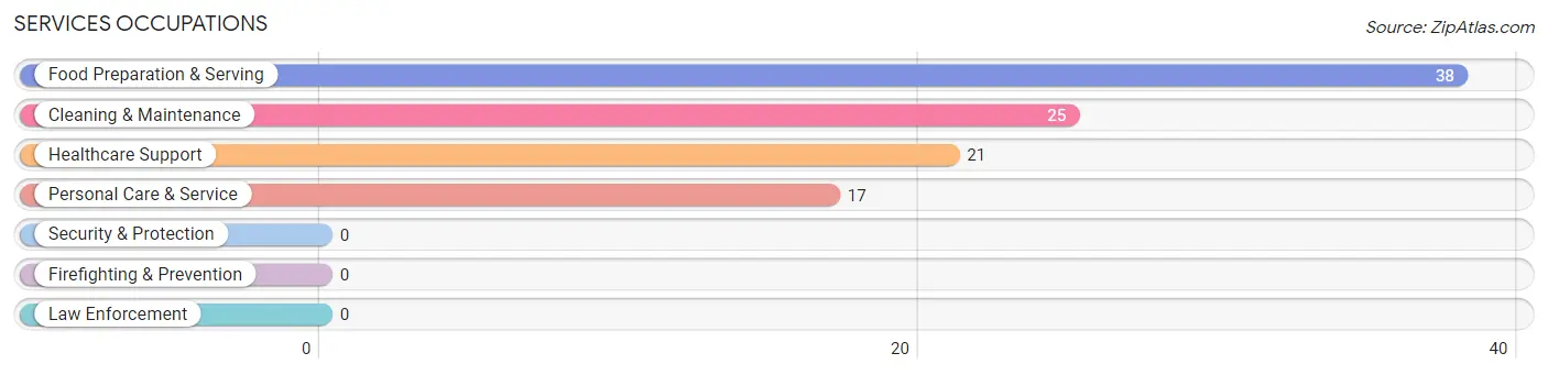 Services Occupations in Zip Code 60195