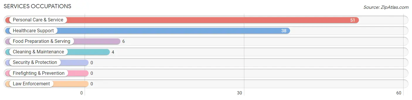 Services Occupations in Zip Code 60203