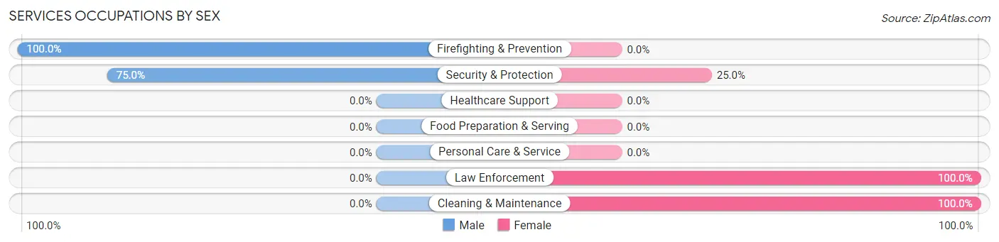 Services Occupations by Sex in Zip Code 60437