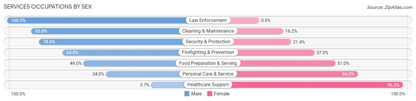 Services Occupations by Sex in Zip Code 60438