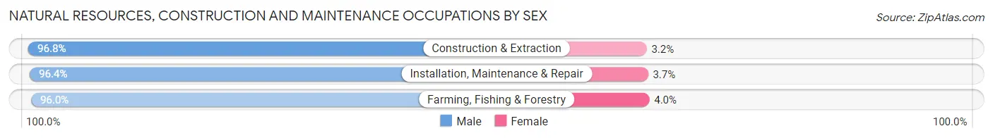 Natural Resources, Construction and Maintenance Occupations by Sex in Zip Code 60441