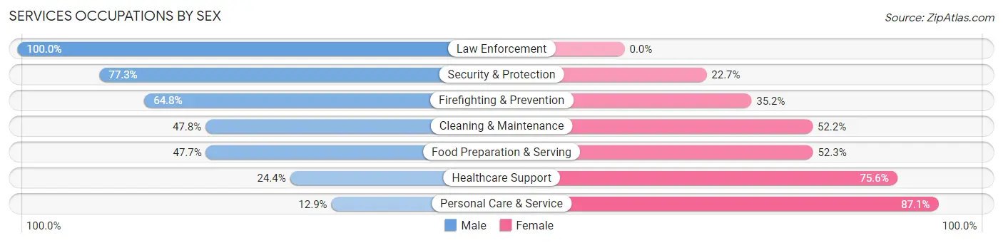 Services Occupations by Sex in Zip Code 60446