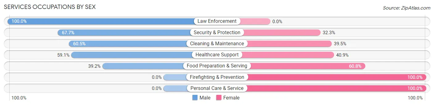 Services Occupations by Sex in Zip Code 60456