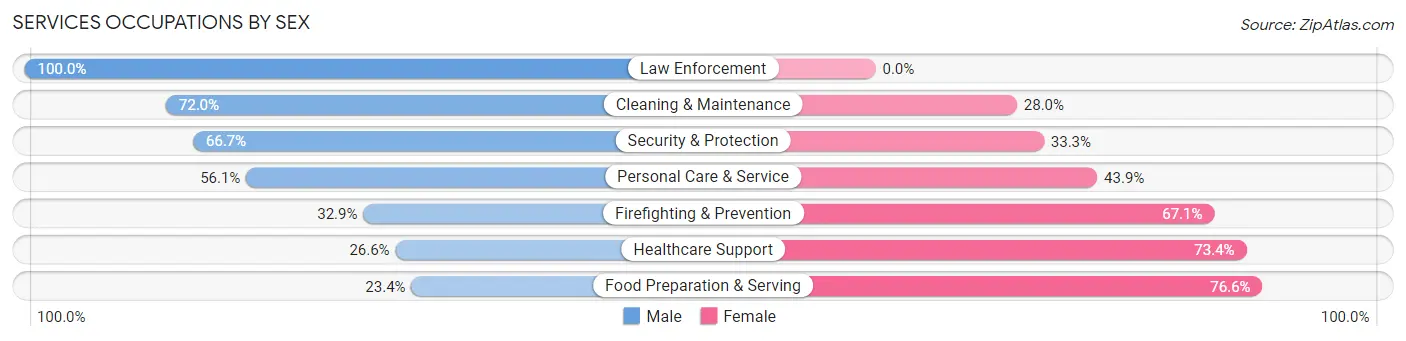 Services Occupations by Sex in Zip Code 60471