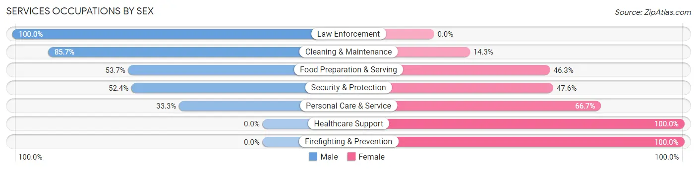 Services Occupations by Sex in Zip Code 60476
