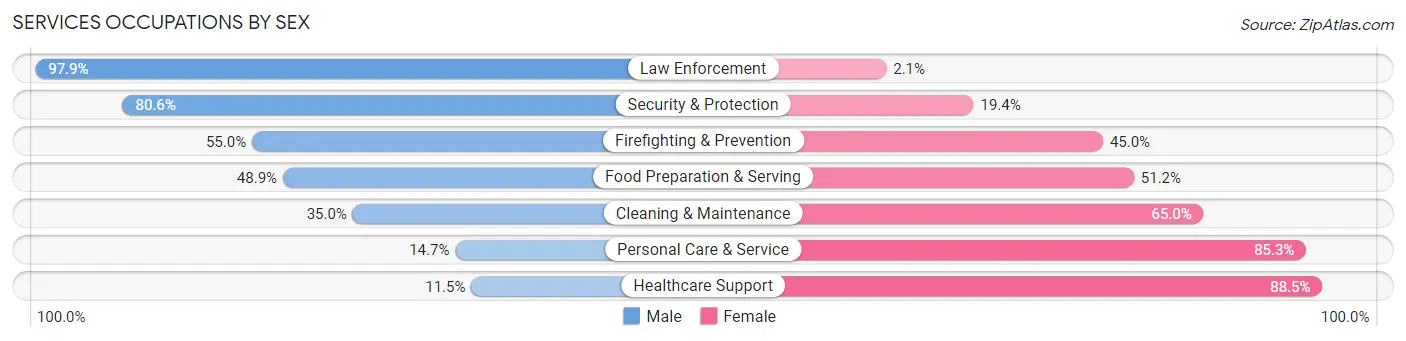 Services Occupations by Sex in Zip Code 60477