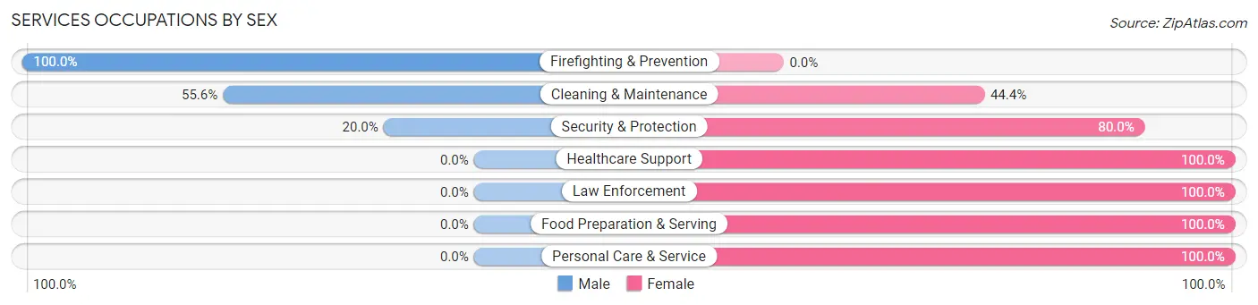 Services Occupations by Sex in Zip Code 60479