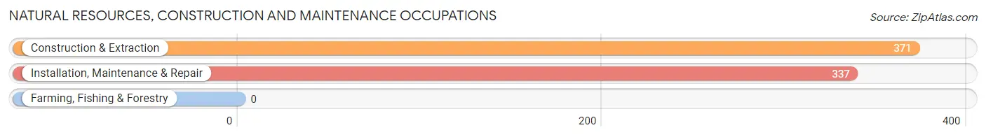 Natural Resources, Construction and Maintenance Occupations in Zip Code 60482