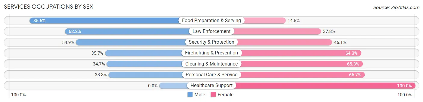 Services Occupations by Sex in Zip Code 60482