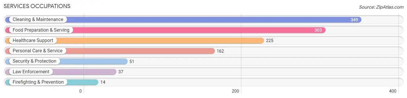 Services Occupations in Zip Code 60482