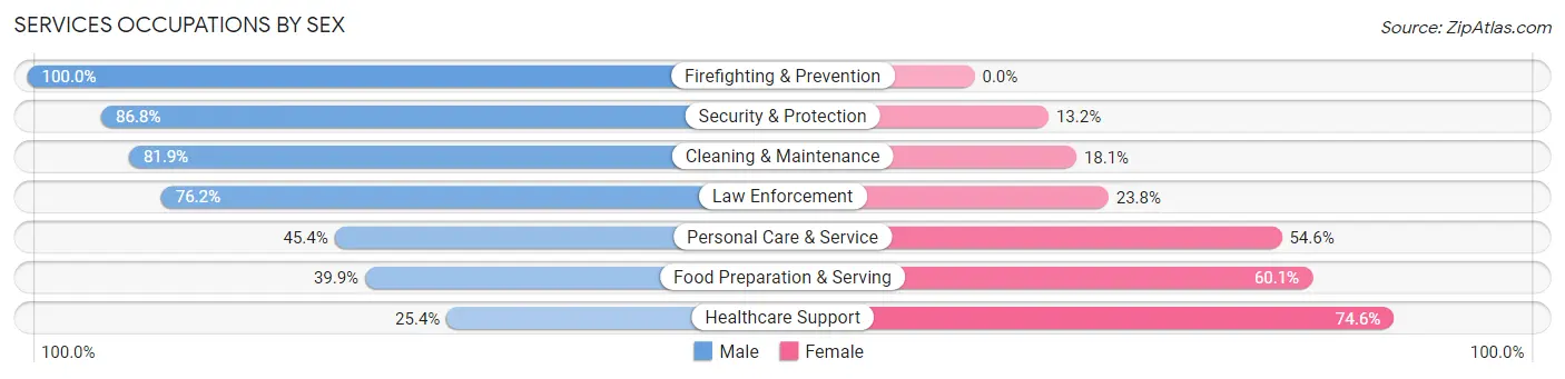 Services Occupations by Sex in Zip Code 60490