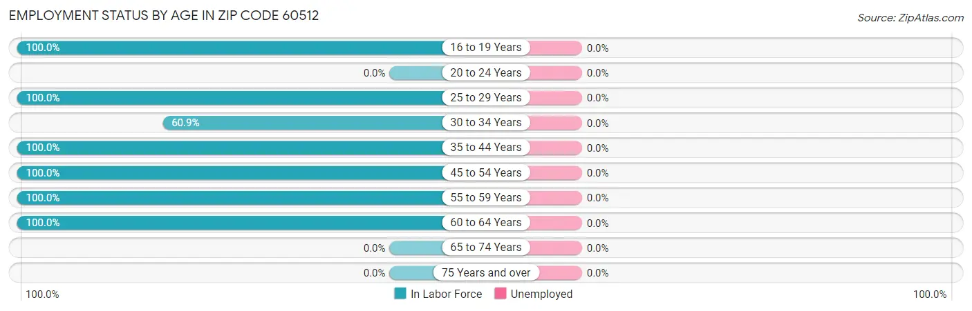 Employment Status by Age in Zip Code 60512