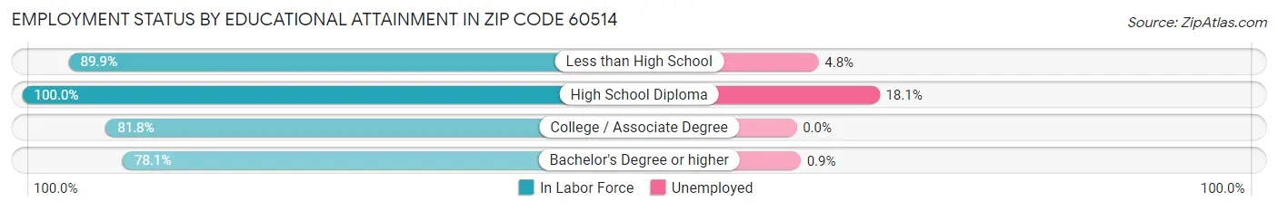 Employment Status by Educational Attainment in Zip Code 60514