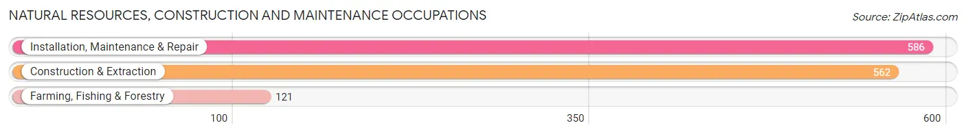 Natural Resources, Construction and Maintenance Occupations in Zip Code 60517