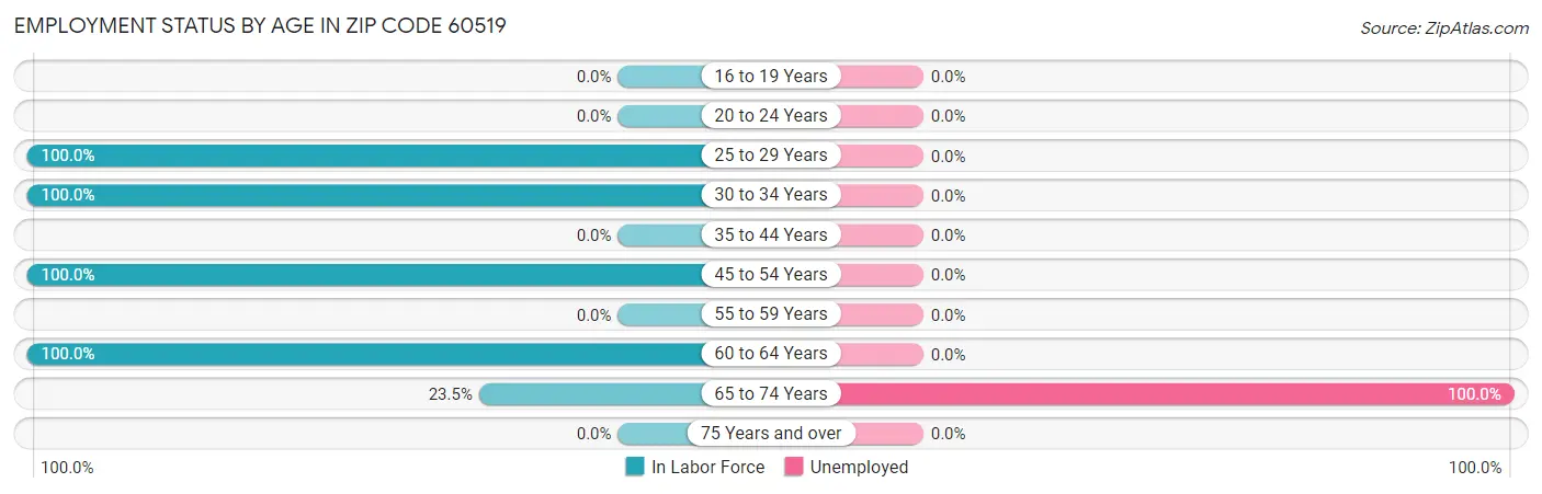 Employment Status by Age in Zip Code 60519