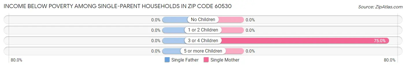 Income Below Poverty Among Single-Parent Households in Zip Code 60530