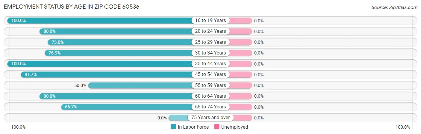Employment Status by Age in Zip Code 60536