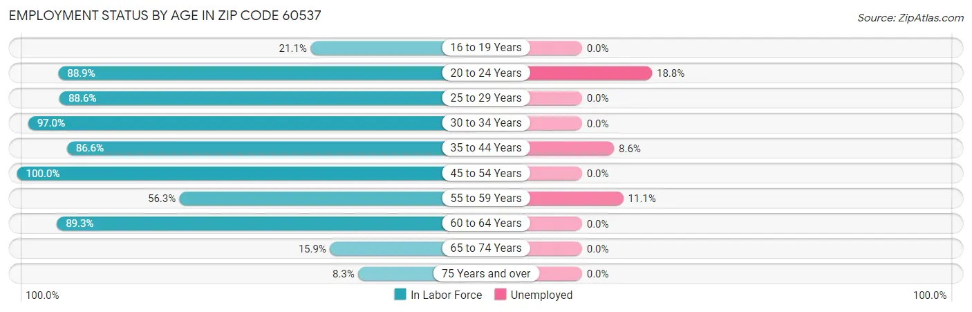 Employment Status by Age in Zip Code 60537