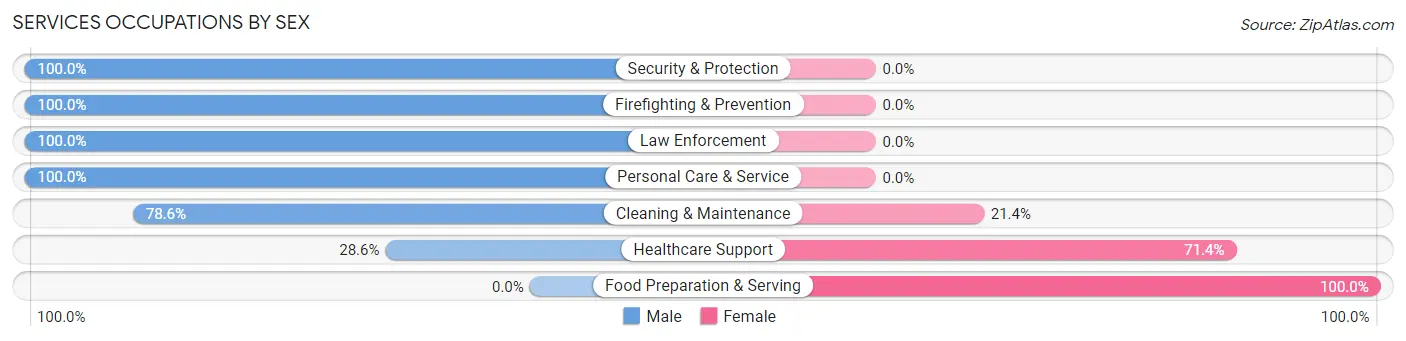 Services Occupations by Sex in Zip Code 60537