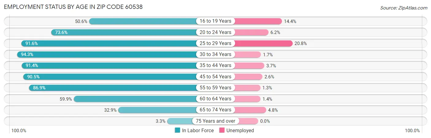 Employment Status by Age in Zip Code 60538