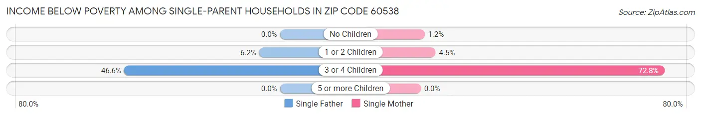 Income Below Poverty Among Single-Parent Households in Zip Code 60538