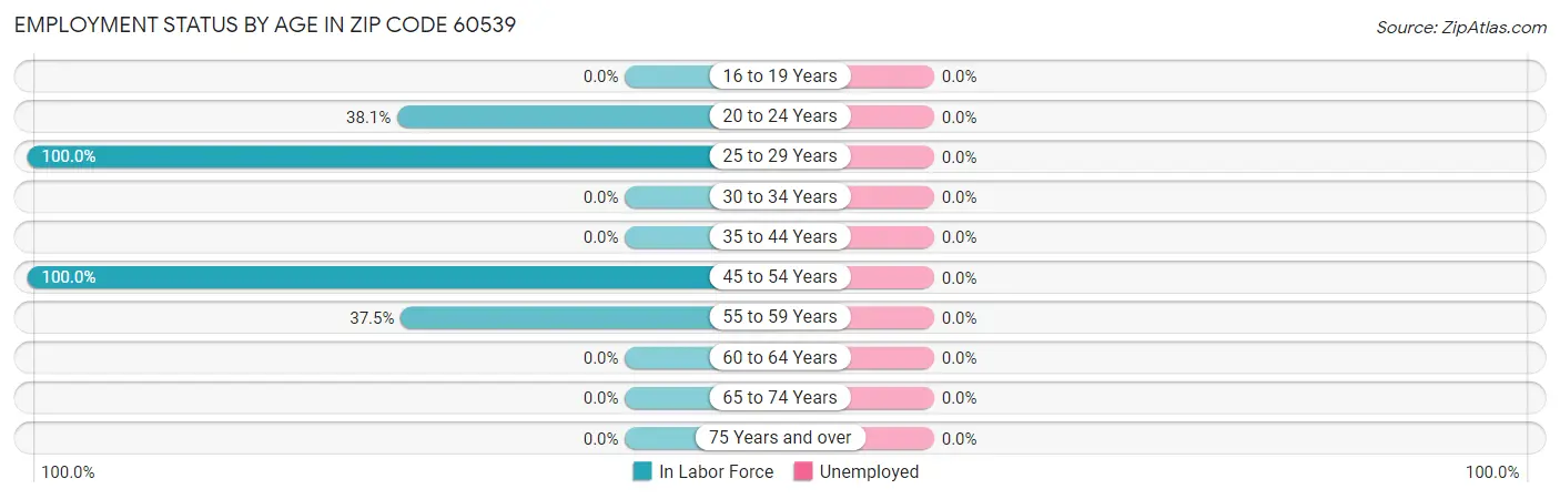 Employment Status by Age in Zip Code 60539