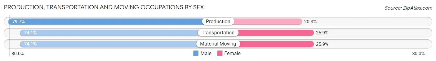 Production, Transportation and Moving Occupations by Sex in Zip Code 60542