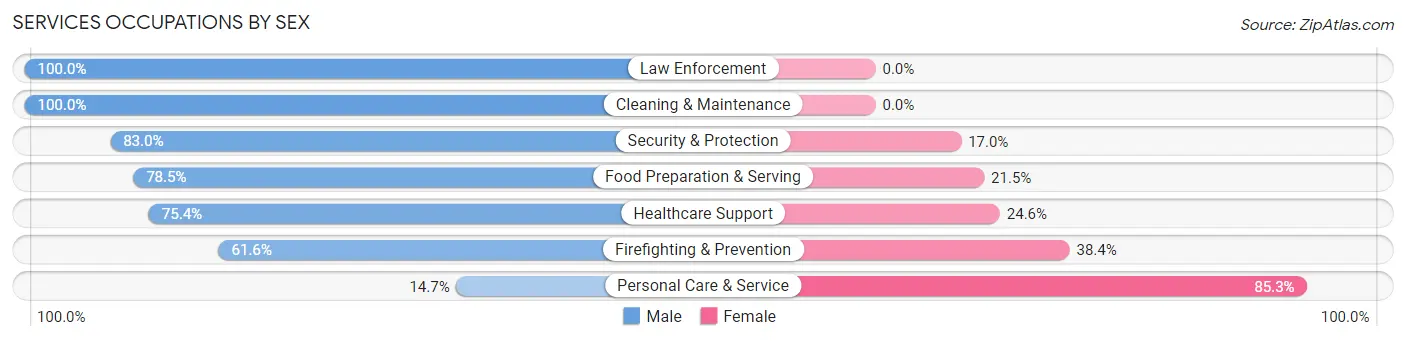 Services Occupations by Sex in Zip Code 60546