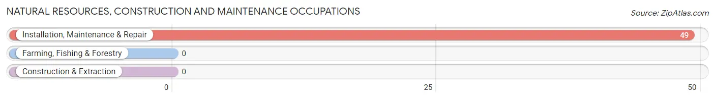 Natural Resources, Construction and Maintenance Occupations in Zip Code 60549