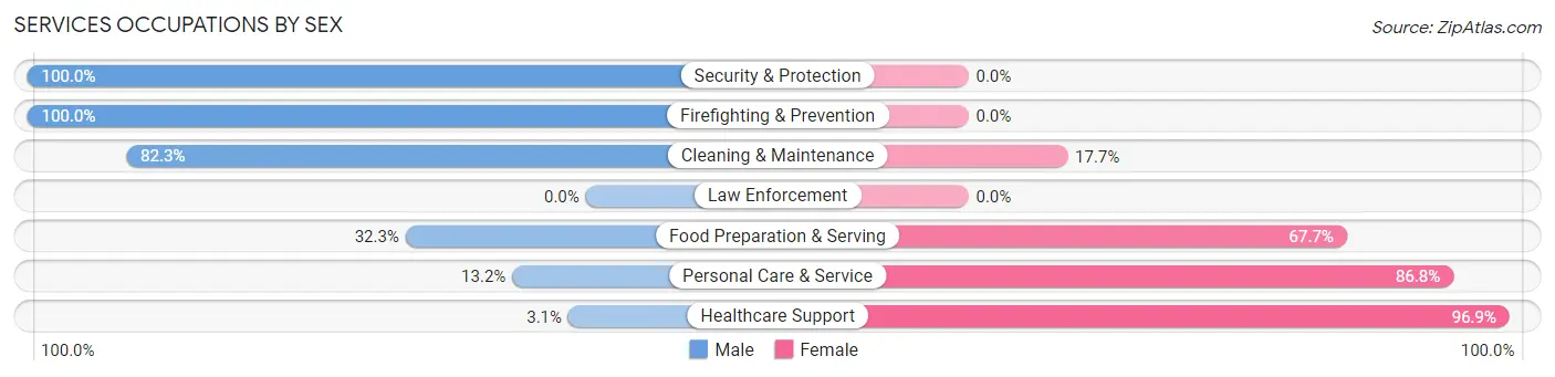 Services Occupations by Sex in Zip Code 60552