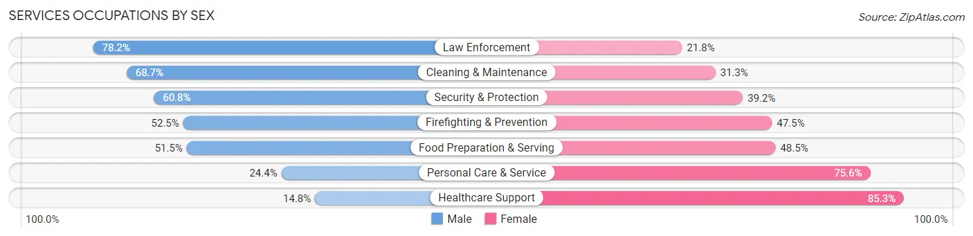 Services Occupations by Sex in Zip Code 60617