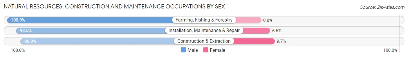 Natural Resources, Construction and Maintenance Occupations by Sex in Zip Code 60618