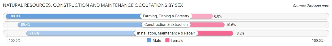 Natural Resources, Construction and Maintenance Occupations by Sex in Zip Code 60620