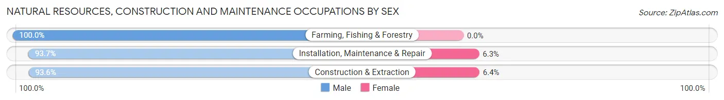 Natural Resources, Construction and Maintenance Occupations by Sex in Zip Code 60628