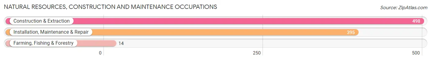 Natural Resources, Construction and Maintenance Occupations in Zip Code 60628