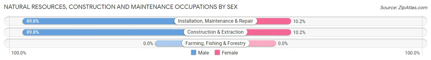 Natural Resources, Construction and Maintenance Occupations by Sex in Zip Code 60637