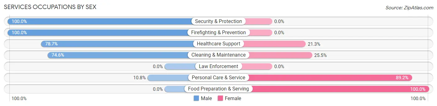 Services Occupations by Sex in Zip Code 60661
