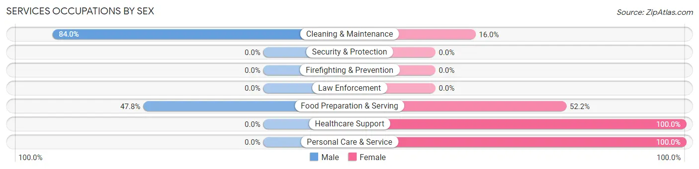 Services Occupations by Sex in Zip Code 60911