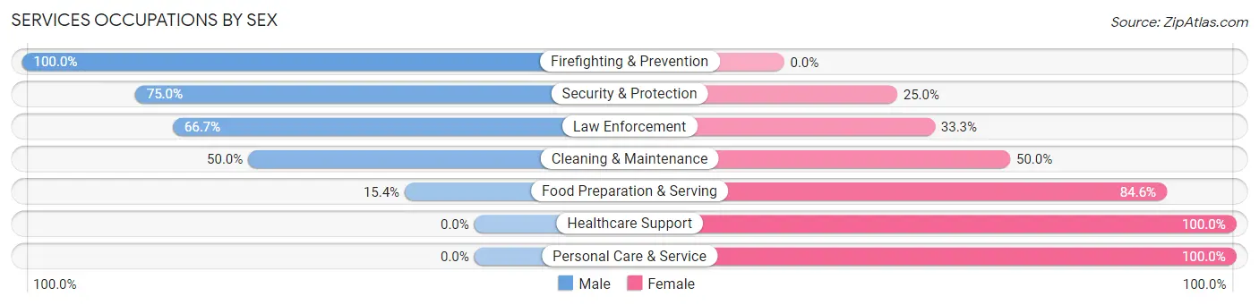 Services Occupations by Sex in Zip Code 60913