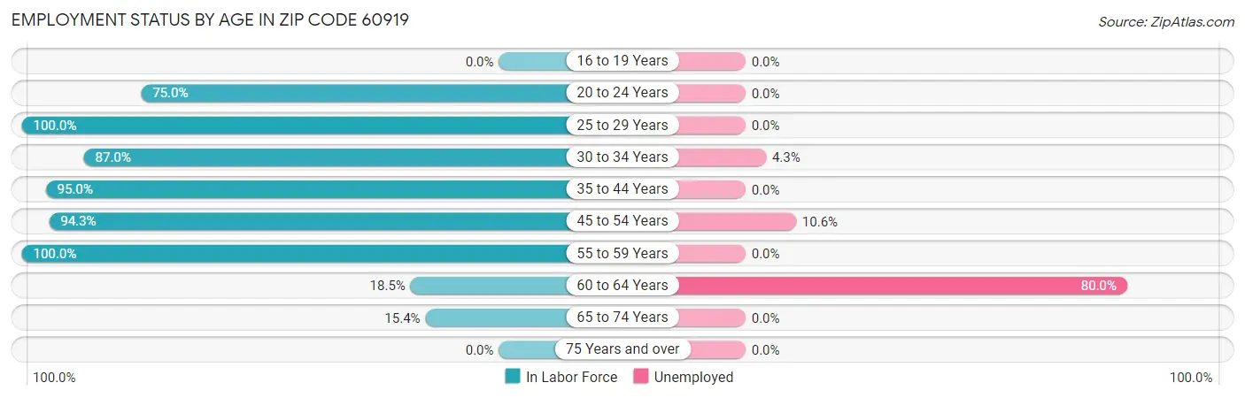Employment Status by Age in Zip Code 60919
