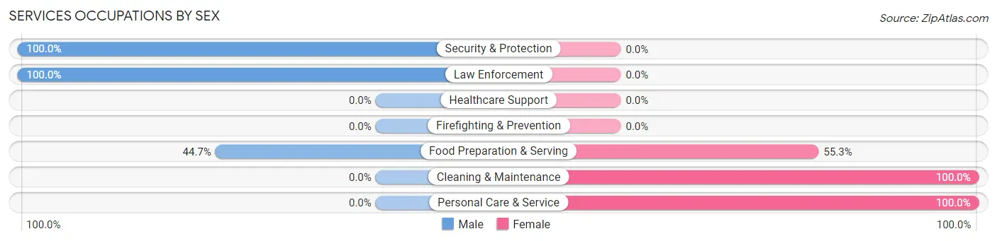 Services Occupations by Sex in Zip Code 60919