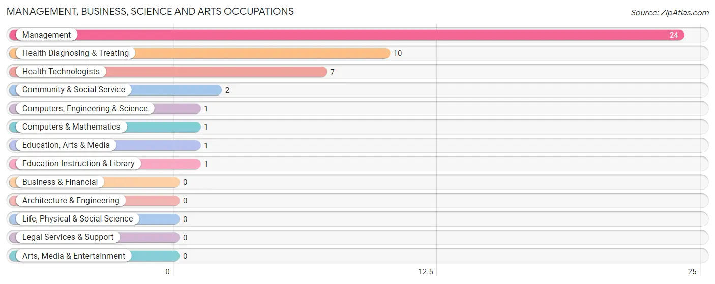 Management, Business, Science and Arts Occupations in Zip Code 60931