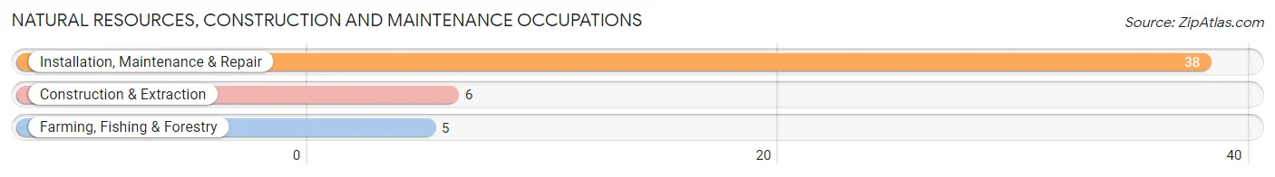 Natural Resources, Construction and Maintenance Occupations in Zip Code 60931