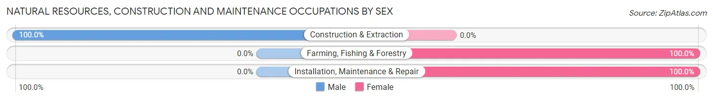 Natural Resources, Construction and Maintenance Occupations by Sex in Zip Code 60945