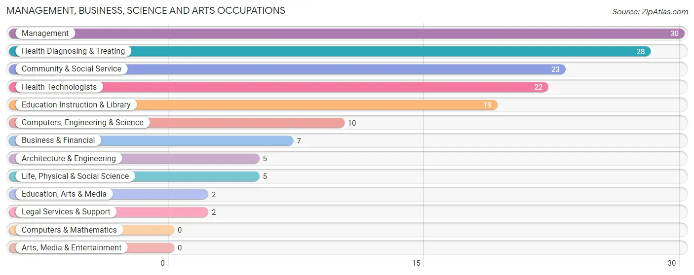 Management, Business, Science and Arts Occupations in Zip Code 60951